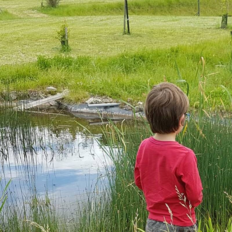 [ATELIER ENFANTS] LES INSECTES DE LA MARE